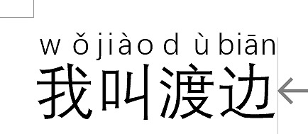 ピンイン入力完成